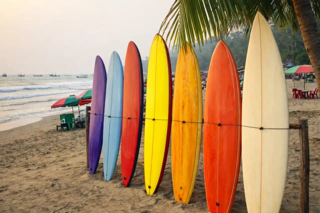 SURF BOARDS thumbnail 1